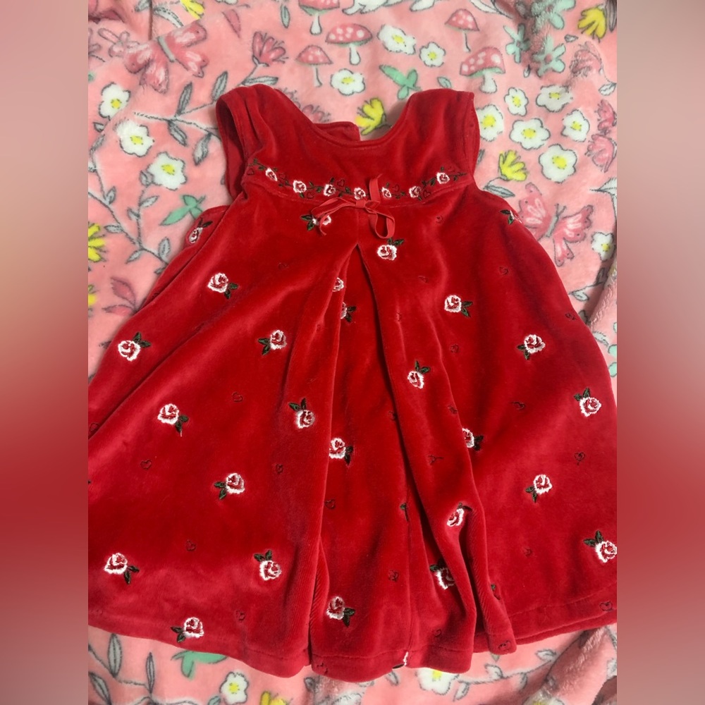 Cute Embroidery Flower Baby dress Bundle